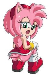 amy_rose anus no_panties pussy sonic_(series) sonictopfan