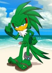 absurd_res anthro balls beach clothing digital_drawing_(artwork) digital_media_(artwork) feet foot_ninja15 footwear genitals hi_res jet_the_hawk male nude penis sandals sega shoes solo solo_male sonic_riders sonic_the_hedgehog_(series)