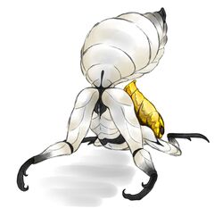 arthropod ass_up female from_behind godseeker hollow_knight insects keeyitlowkey no_humans presenting pussy simple_background white_background