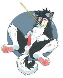 anthro anus arm_tuft balls black_body black_fur black_hair blush canid canine cheek_tuft chest_tuft elbow_tuft erection facial_tuft fangs fur genitals glistening glistening_eyes hair hi_res knot male mammal narrowed_eyes neck_tuft nude pawpads penis princelykaden red_pawpads red_penis solo spread_legs spreading teeth tuft white_balls white_body white_fur yellow_eyes