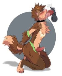 animal_genitalia animal_penis anthro arm_tuft balls black_collar bondage bondage bound brown_body brown_fur brown_hair canid canine canine_genitalia canine_penis chest_tuft collar dipstick_tail disembodied_penis duo elbow_tuft erection floppy_ears fur genitals green_eyes hair hi_res leg_tuft male male/male male_anthro male_penetrated male_penetrating male_penetrating_male mammal markings nude oral oral_penetration orange_balls orange_body orange_fur penetration penis penis_in_mouth princelykaden red_penis sex short_hair side_view solo_focus tail tail_markings tuft