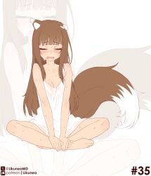 1girls animal_ears animal_tail blush blushing_female brown_hair brown_hair_female closed_eyes female female female_only fluffy fluffy_tail hime_cut holo kemono kemonomimi likunea long_hair long_hair_female medium_breasts no_nude open_mouth sitting sole_female spice_and_wolf tail wet wet_body white_dress wolf_ears wolf_girl wolf_tail