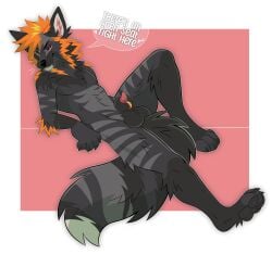 anthro arm_tuft balls black_balls black_body black_fur black_nose black_pawpads canid canine cheek_tuft elbow_tuft english_text facial_tuft fangs fur genitals grey_body grey_fur hair hi_res male male_anthro mammal markings narrowed_eyes neck_tuft nude orange_hair pawpads penis penis_tip princelykaden pupils red_background red_eyes red_penis short_hair simple_background slit_pupils solo speech_bubble striped_arms striped_legs striped_markings striped_tail stripes tail tail_markings teeth text tuft