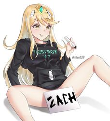 mythra (xenoblade) from nintendo by steeb