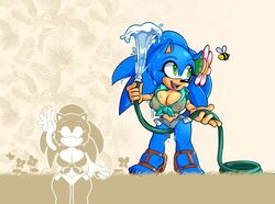 1girls anthro bee bimbo cuisine female_only genderswap_(mtf) jean_shorts missphase rule_63 sega solo sonic_(series) sonic_the_hedgehog sonic_the_hedgehog_(series) sonique_the_hedgehog wet_shirt