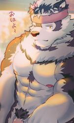 3:5 abs accessory anthro bearp_(artist) biceps brown_fur canid canine canis fur hair headband hi_res male male_only mammal multicolored_fur muscular muscular_male nipples nude one_eye_closed pecs penis pubes signature solo tokyo_afterschool_summoners two_tone_fur video_games volkv_vseslav white_fur wolf yellow_eyes