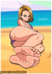 android_18 dragon_ball feet female foot_fetish marcelinhofeet tagme