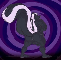 anthro anus ass balls genitals gtskunkrat hi_res looking_back male mammal mature_male mephitid nude penis presenting presenting_hindquarters raised_tail skunk skunk_tail solo tail thick_tail