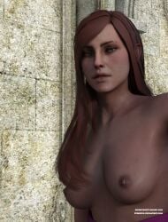 1girls 3d brown_hair elf elf_female stjude90 the_witcher_(series) the_witcher_3:_wild_hunt topless topless_female upper_body