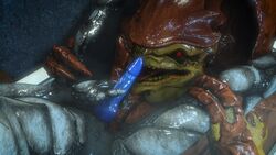 3d 3d_(artwork) alien gay hi_res krogan licking male male/male male_only mass_effect muscular muscular_male oral penis rooking shower tagme tongue tongue_out turian video_games wet