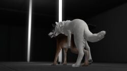Canine Rule 34 Image
