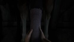 2boys 2girls 3d animal_genitalia animated erection female handjob horse horsecock huge_cock johndoe1970 male mp4 no_sound penis pov source_filmmaker taker_pov video zoophilia