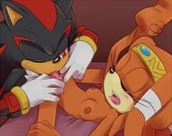 1boy 1girls anthro black_fur breasts closed_eyes cylent_nite furry licking_pussy medium_breasts naked naked_female nipples nude nude_female orange_fur orange_nipples red_eyes shadow_the_hedgehog sonic_(series) sonic_the_hedgehog_(series) spread_legs spread_pussy tikal_the_echidna