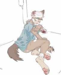 1_ear 5_fingers annoyed_expression annoyed_face anthro band-aid bandages bloody_bandage cat_ears cat_tail clothing domestic_cat feline felis fur hospital_gown intravenous_drip lambrey male mammal shocked_expression shocked_face solo tail tongue white_background
