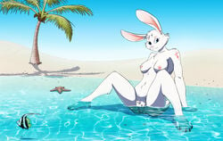 absurd_res asterozoan beach breasts clothing disnomia echinoderm female female_focus fish group hi_res lagomorph leporid mammal marine presenting pussy rabbit sea seaside solo_focus starfish swimwear water