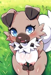 ai_generated big_breasts big_tits breasts naked nude pokemon rockruff tits