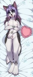 5_fingers anthro athletic black_body black_fur black_nose blep blue_eyes breasts canid canine canis diamond_(valor-force) domestic_dog female fingers footprint fur grey_body grey_fur hair heart_pillow husky looking_at_viewer lying mammal markings nipples nordic_sled_dog nude on_back pawprint pawprint_(marking) pillow pink_nipples pubic_tattoo purple_hair smile solo spitz stefano_d'angelo tattoo tongue tongue_out white_body white_fur