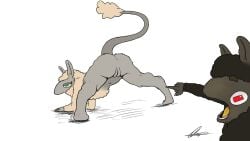 16:9 anthro ass_up duo female fur genitals gesture hand_gesture hi_res jack-o'_pose male offscreen_male orange_tongue ozan pog_face pointing pointing_at_another pose presenting presenting_vulva raised_tail tail tail_tuft the_nature_of_predators tongue tuft two_soyjaks_pointing venlil_(the_nature_of_predators) vulva widescreen wool_(fur)