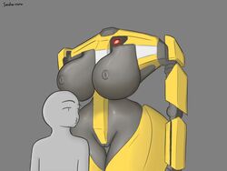 anon from borderlands by saidra