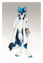 animal_genitalia anthro balls barefoot black_body black_fur blue_body blue_fur blue_hair book border canid canine canis claws clothing coat digit_ring digitigrade doctor ear_piercing ear_ring ershd feet fully_sheathed fur furgonomic_piercing furgonomics genital_piercing genitals gradient_background grey_background hair hand_in_pocket hi_res holding_book holding_object jewelry lab_coat lab_coat_only male male_anthro mammal multicolored_body multicolored_fur pawpads paws piercing pockets ring ring_piercing sheath sheath_piercing simple_background solo standing tan_body tan_fur toe_claws toe_ring toes topwear white_background white_border wolf