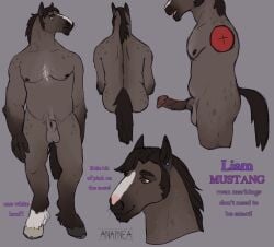 anapnea animal_genitalia animal_penis anthro balls digital_media_(artwork) ear_piercing english_text equid equine equine_genitalia equine_penis erection fully_sheathed fur genitals grey_background hair hi_res hooves horse liam_(anapnea) male mammal model_sheet nipples nude penis piercing sheath simple_background smile solo standing tail text