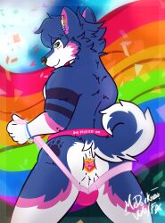 butt canid canine canis clothing clothing_stretching domestic_dog ear_piercing gauged_ear hi_res husky jewelry jockstrap lgbt_pride lgbt_pride_month male mammal mrdarknesswolf neillen nordic_sled_dog piercing plug_(jewelry) plug_(sex_toy) presenting pride_color_flag pride_colors rear_view sex_toy spitz underwear