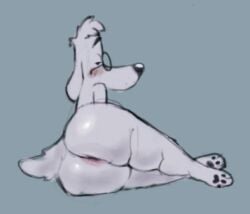 1boy 2025 anthro anus ass beagle big_ass bogtrom domestic_dog jay_ward_productions male male_only mr._peabody peabody's_improbable_history rocky_and_bullwinkle