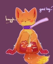 5:6 anthro balls blush blush_lines bodily_fluids canid canine collar collar_pull cum cum_drip cum_on_feet cumshot dripping ejaculation eyes_closed feet firefox fox genital_fluids genitals hi_res kit_(mozilla_firefox) knot leash leashed_collar male mammal mozilla pawpads paws penis shaking snoiifoxxo solo trembling