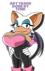 bat breasts female rouge_the_bat sonic_(series)