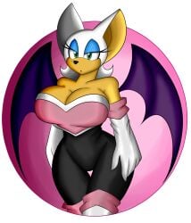 bat breasts female rouge_the_bat sonic_(series) superix