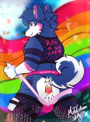 butt canid canine canis clothing clothing_stretching crop_top domestic_dog ear_piercing gauged_ear hi_res husky jewelry jockstrap lgbt_pride lgbt_pride_month male mammal mrdarknesswolf neillen nordic_sled_dog piercing plug_(jewelry) plug_(sex_toy) presenting pride_color_flag pride_colors rear_view sex_toy shirt spitz topwear underwear