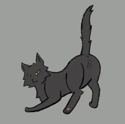 2022 black_body black_fur domestic_cat felid feline felis female feral fur genitals green_sclera hi_res hollyleaf_(warriors) mammal pussy smile soliloquysol solo warriors_(book_series)