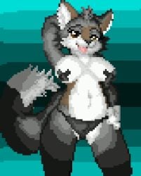 big_breasts breasts canid canine canis clothed clothing coyote digital_media_(artwork) female furry furry_ears furry_female furry_only furry_tail mammal pixel_(artwork) pixel_art reupload simple_background the_shen underwear