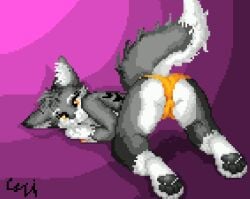 canid canine canis clothed clothing digital_media_(artwork) female lying lying_on_ground mammal mistypaw nipple_piercing nipples piercing pixel_(artwork) pixel_art reupload simple_background solo the_shen underwear wolf