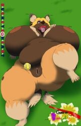 african_wild_dog alythewolfcat anthro ball bodily_fluids buckeye_heart canid canine female genital_fluids hi_res magazine_page mammal nipples nude overweight overweight_female pinup pose solo spring_(season) sunset tail tail_motion tailwag tennis_ball vaginal_fluids wide_hips