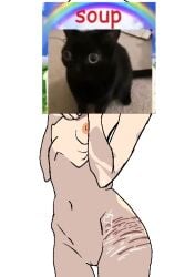 1girls female_only flat_stomach meme npdd original_character pale-skinned_female pale_skin png scars scars_on_thighs self_harm self_harm_scars self_upload shitpost skinny small_breasts solo_female solo_focus soup stupid transparent_background underweight