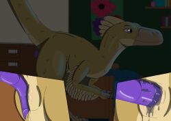 absurd_res bedroom bodily_fluids brown_body controller dildo dildo_in_vagina dildo_insertion dinosaur dromaeosaurid feathers female feral gaming_controller genital_fluids genitals hi_res highlights_(coloring) hot_dogging male multicolored_body penetration penis penis_on_pussy pink_eyes pink_highlights prehistoric_species purple_dildo pussy raptors-muffin474 reptile riding_dildo sandy_the_raptoress scalie sex sex_toy sex_toy_in_vagina sex_toy_insertion solo theropod utahraptor vaginal_fluids vaginal_penetration vulva