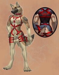 2025 absurd_res animal_genitalia anthro athletic backsack balls black_body black_claws black_fur black_nose brown_body brown_eyes brown_fur canid canine canis chest_markings claws collar digitigrade domestic_dog dsw7 fur fur_markings furgonomics furry-specific_piercing genital_piercing genitals german_shepherd hand_on_hip harness harness_only herding_dog hi_res krieg_gsd leather leather_harness leather_strap looking_at_viewer male mammal markings model_sheet pastoral_dog piercing rear_view ring_piercing sheath sheath_piercing sheath_ring solo straps tan_body tan_fur toe_claws toned_male