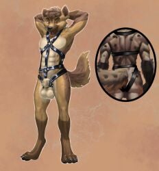 2025 absurd_res animal_genitalia anthro athletic backsack balls black_claws black_nose brown_body brown_eyes brown_fur claws digitigrade dsw7 fur furgonomics furry-specific_piercing genital_piercing genitals hands_behind_head harness harness_only hi_res hyena jarl_hyena leather leather_harness male mammal markings piercing rear_view ring_piercing sheath sheath_piercing sheath_ring smile smiling_at_viewer solo spots spotted_body spotted_fur spotted_hyena tan_body tan_fur teeth toe_claws toned_body toned_male toned_muscles