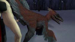 16:9 2024 3d_(artwork) 3d_animation animal_genitalia animated biped bipedal_feral bodily_fluids car claws cloaca cloacal cloacal_penetration cum cum_in_cloaca cum_inside digital_media_(artwork) dinosaur dromaeosaurid duo faceless_character faceless_human faceless_male feathers female female_feral female_on_human female_penetrated feral feral_penetrated forest from_behind_position genital_fluids genitals grey_body hi_res high_framerate highlights_(coloring) huge_filesize human human_on_feral human_penetrating human_penetrating_female human_penetrating_feral interspecies ireallyliketanks jeep jurassic_park jurassic_world jurassic_world:_camp_cretaceous jurassic_world:_dominion male male/female male_human male_on_feral male_penetrating male_penetrating_female male_penetrating_feral mammal penetration penile penile_penetration penis_in_cloaca plant prehistoric_species pyroraptor red_highlights reptile scalie sex shaded short_playtime snow sound source_filmmaker_(artwork) tagme tail teeth theropod tree universal_studios vehicle video video widescreen winter zoophilia