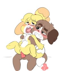 1boy 1girls 2019 4_fingers animal_crossing animal_crossing_new_leaf animal_ears animal_genitalia animal_penis anthro anthrofied big_breasts black_nose blush bodily_fluids breast_grab breasts brother brother_and_sister brown_fur brown_hair canid canine canis couple digby_(animal_crossing) domestic_dog duo female female_penetrated freckles fur hair hand_on_breast humanoid_hands humanoid_pussy incest isabelle_(animal_crossing) knotted_penis male male_penetrating mammal nintendo open_mouth opposite_sex_twins penetration penis pussy saliva sex shih_tzu sibling simple_background sister straight toy_dog vagina vaginal vaginal_penetration vaginal_sex vallycuts video_games yellow_fur yellow_hair