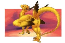 2019 3:2 anus ass dragon feathered_dragon feathered_wings feathers female feral fluffy fur hi_res kailana looking_at_viewer looking_back nitrods nude presenting presenting_hindquarters pussy solo wings