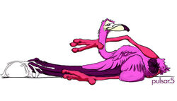 4_toes anus avian big_penis bird cum flamingo male male_only penis plain_background presenting pulsar purple_penis simple_background solo toes white_background