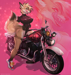 5_fingers anthro brown_fur canid canine female fingers fox fur furry looking_at_viewer mammal motorcycle open_mouth solo sorafoxyteils teeth tongue vehicle