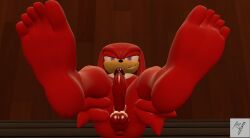 1boy 3d_(artwork) 5_toes aldenyates anus ass digital_media_(artwork) echidna feet foot_fetish foot_focus genitals hi_res hindpaw humanoid_feet humanoid_genitalia humanoid_penis knuckles_the_echidna looking_at_viewer male male_only mammal monotreme nude nude_anthro nude_male paws penis plantigrade presenting presenting_anus presenting_balls presenting_hindquarters presenting_penis sauna seductive sega smug_expression smug_face smug_grin soles solo sonic_(series) sonic_the_hedgehog_(series) toes