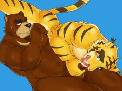 2boys 69 animal_ears ass balls bara bear_boy bear_ears belly biceps blue_background blush brown_fur censored closed_mouth commentary_request erection fat fellatio foreskin furry furry_male gegegenomin juuichi_mikazuki looking_at_another male male_focus morenatsu multiple_boys muscular muscular_male open_mouth oral pectorals penis plump sex sweatdrop tail testicles tiger_boy tiger_ears tiger_stripes tiger_tail torahiko_oshima uncircumcised yaoi yellow_fur