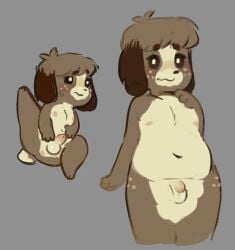 animal_crossing anthro anus balls belly blush brown_body brown_fur canid canine canis cornymember digby_(animal_crossing) domestic_dog embarrassed flaccid foreskin freckles fur genitals grey_background hand_on_chest looking_at_viewer looking_away male mammal multicolored_body navel nintendo nipples nude penis presenting presenting_anus presenting_penis raised_leg shih_tzu shy simple_background slightly_chubby slightly_chubby_anthro slightly_chubby_male small_penis solo toy_dog two_tone_body