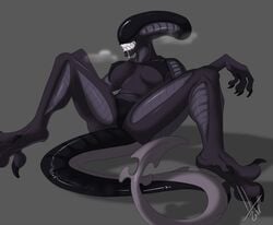 alien alien_(franchise) bodily_fluids breasts cameltoe clothing disturbed-mind drooling eyeless female female_xenomorph grin panties saliva sharp_teeth simple_background smile solo teeth underwear xenomorph