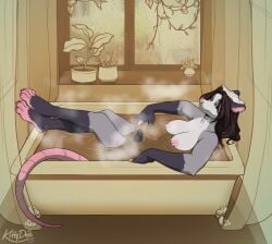absurd_res american_opossum annie_(droopycrows) anthro areola bathroom bathtub bedroom_eyes black_penis breasts brown_eyes brown_hair crossed_legs erection feet_up fur genitals grey_body grey_fur gynomorph hair hi_res intersex kittydee looking_at_viewer mammal marsupial narrowed_eyes nipples nonbinary_(lore) partially_submerged penis reclining seductive smile solo steam tail towel towel_on_head water wet wet_hair window