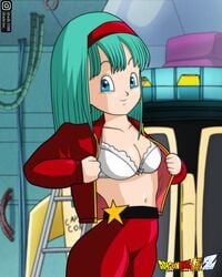 adb3388 bra bra_(dragon_ball) bra_briefs dragon_ball dragon_ball_gt female open_jacket solo straight_hair